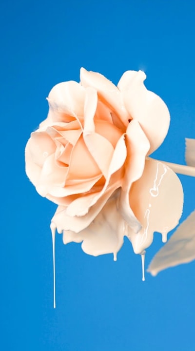 Beautiful flower arrangements for any space