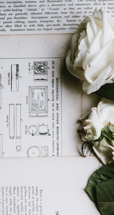 A close-up of blooming flower seeds