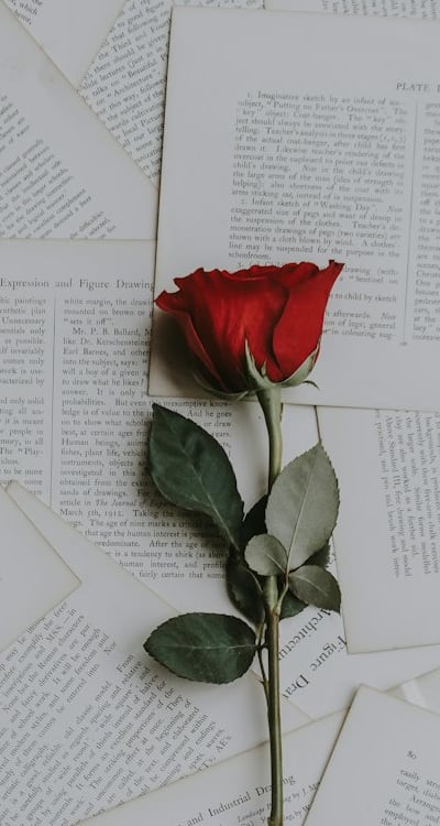 Perennial flower seed catalogs offer organic and sustainable options.