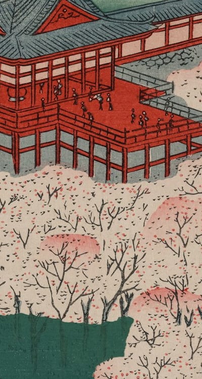 Biennial flowers for cutting gardens add beauty effortlessly