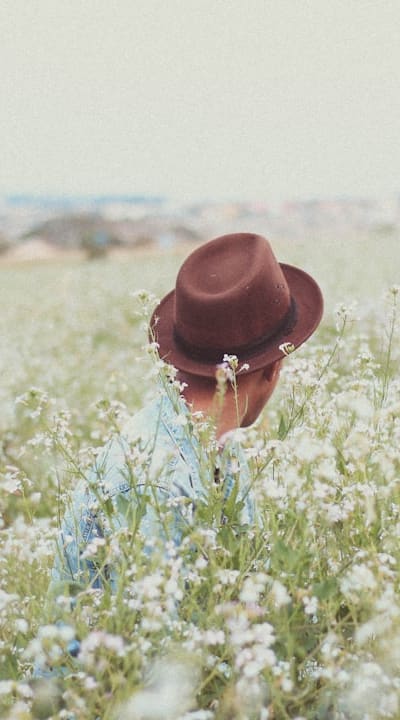 Colorful blossoms in a container garden