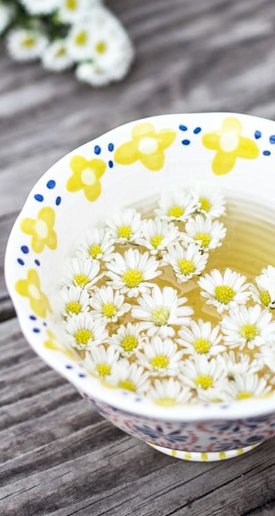 Image Alt Text: Blooming native cut flowers in a water-filled bucket.