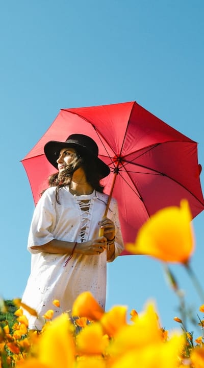 Blooming flowers ready to be harvested.