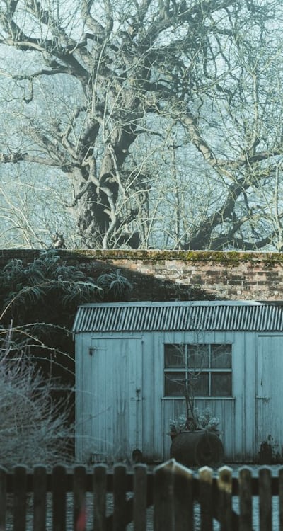 Vibrant annual flowers add texture and beauty to your garden.