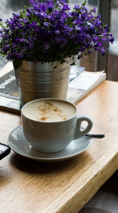 Colorful impatiens flowers blooming in a shade garden.