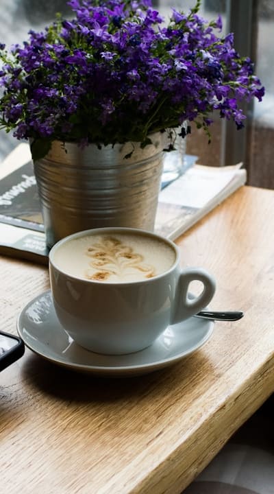 A diverse range of annual flowers for your garden.