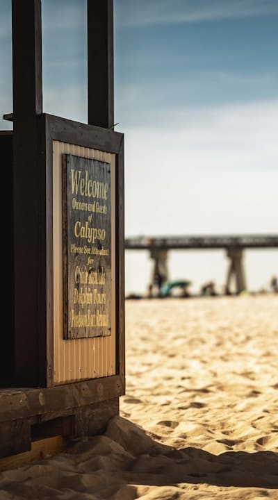 Seedlings growing under the optimal temperature and light conditions.