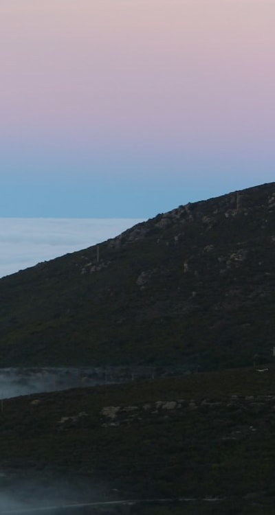 Pruning and deadheading for maintaining garden flowers.