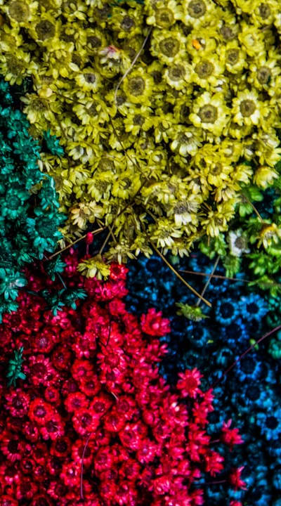 Harvested flowers in a colorful cottage garden.