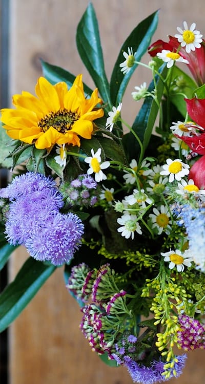 Delightful journey of growing fragrant flower seeds.