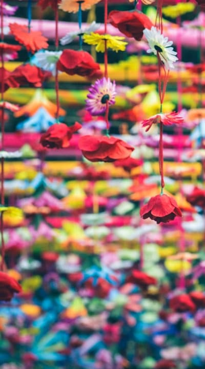 Biennial flowers: A unique two-year gardening experience
