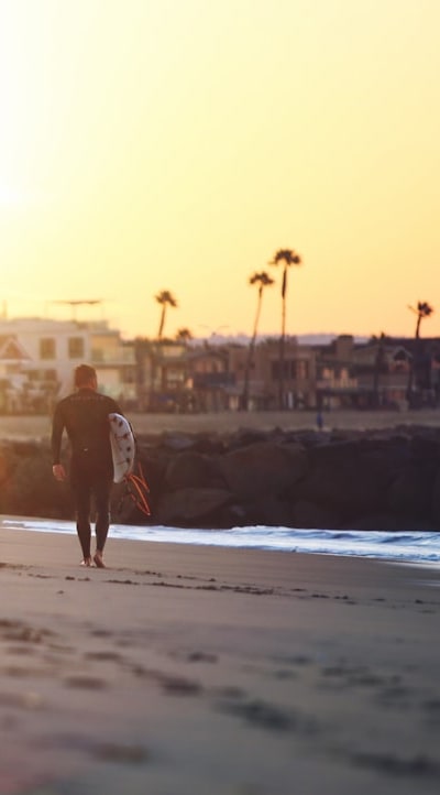 Biennial flowers thrive in sunlight for optimal growth.