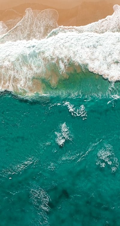 Watering perennial flowers is important for their growth.