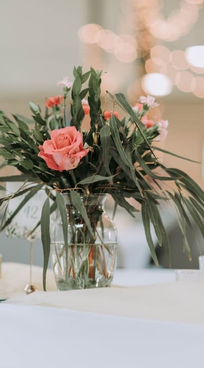 Providing proper care for biennial flowers during winter.