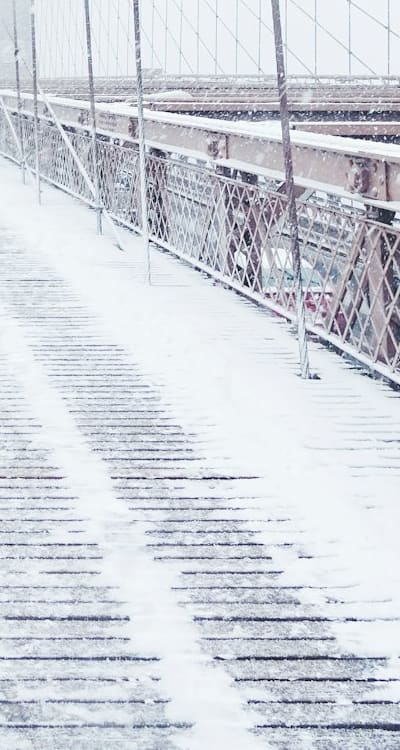 Taking care of biennial flowers during winter months