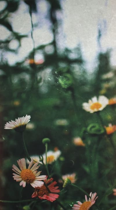 Tangible Object: Seeds