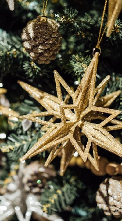 Types of grow lights commonly used in seed starting