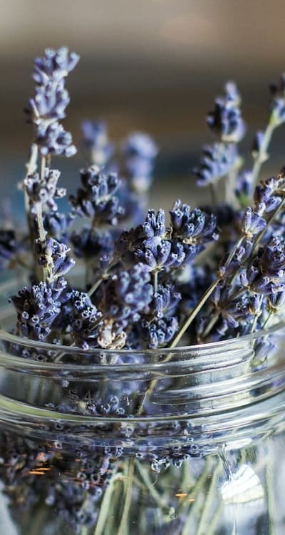 Enhance your aquaponics garden with fragrant flowers.