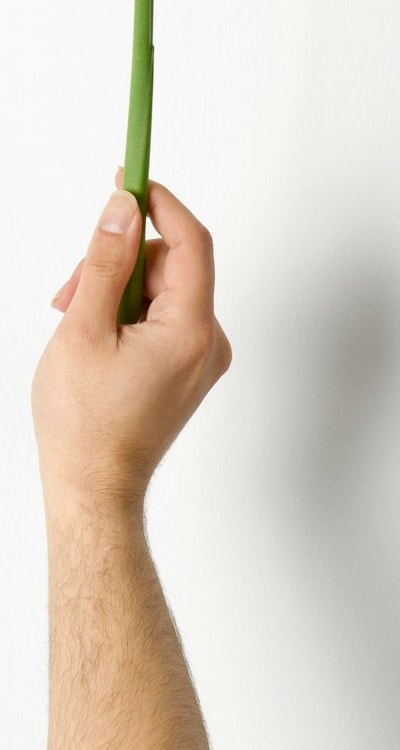 Transformative fruit growing, nurturing seeds into thriving plants