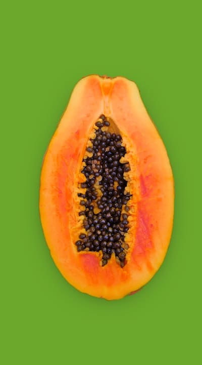 Harvesting ripe fruit for seed extraction.