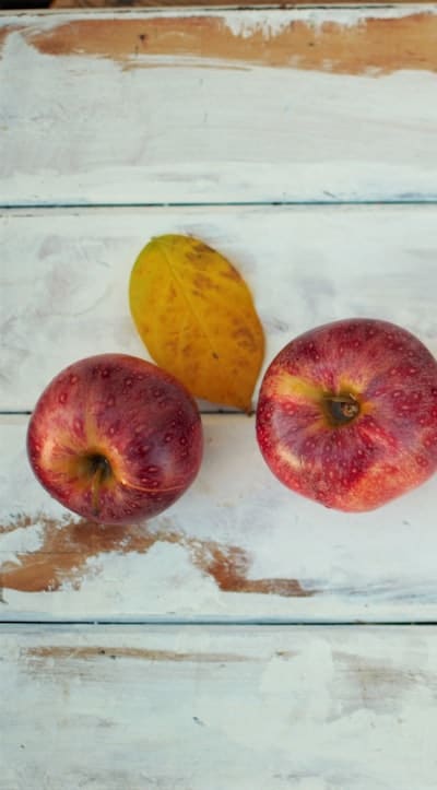 High-quality fruit seeds are crucial for successful gardening. It is important to consider factors such as fruit seed germination, dormancy, and stratification. Some fruit seeds require specific conditions, such as cold stratification, to break dormancy. Source organic, non-GMO fruit seeds from reputable suppliers for the best chances of success.
