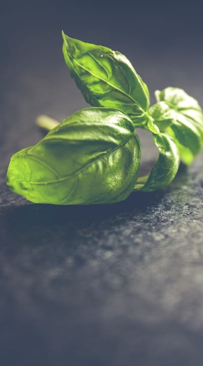 Positive impact of organic fruit seeds on the environment.