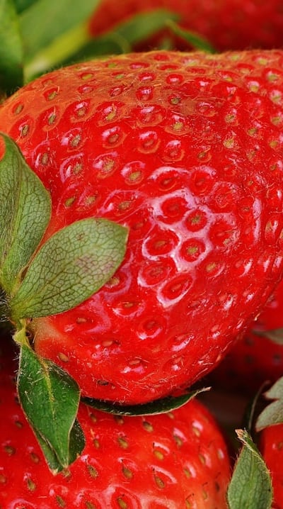 Organic gardeners benefit from fruit seed stratification, preserving genetic diversity.