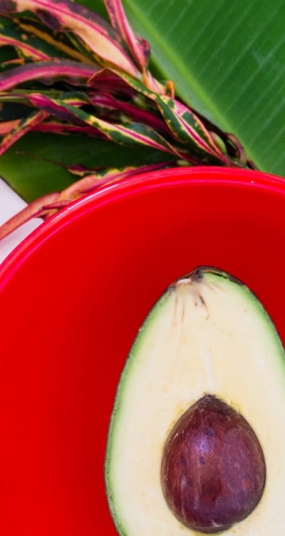 Growing organic fruit from seeds - a rewarding journey.