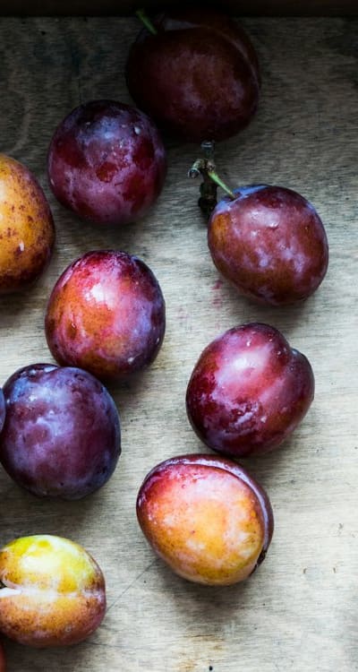 Exploring the world of fruit seeds for a fruitful garden