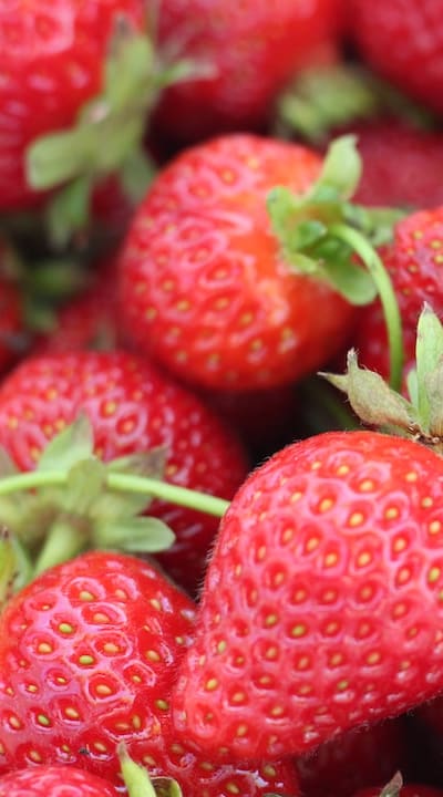 Choosing the right organic fruit seeds for your garden.