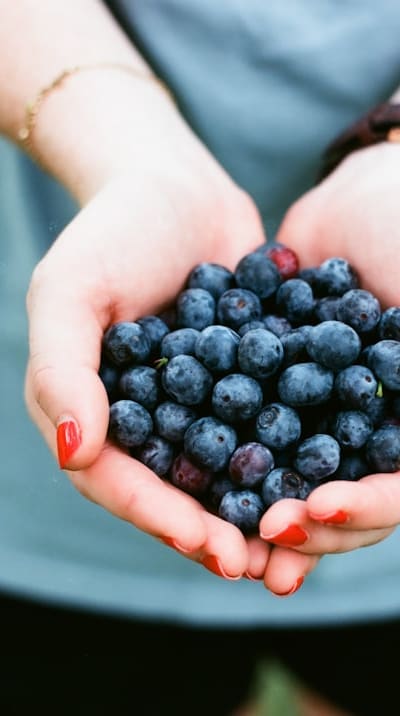 Unlock a world of unique and heirloom fruit varieties.