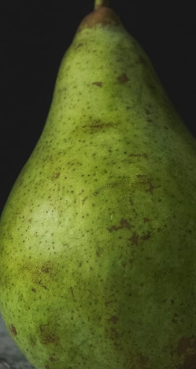 Exploring the world of rare fruit seeds.