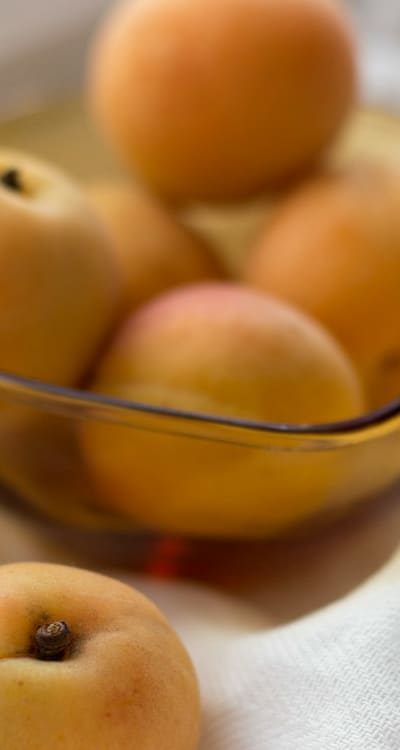 Techniques for successful germination of organic fruit seeds