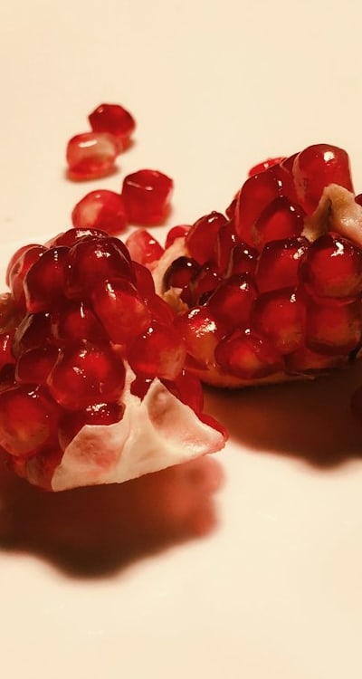 Sense of satisfaction and accomplishment in growing fruit trees from seed.