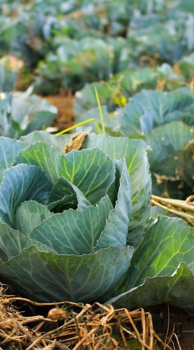 A moment of gratitude for the beauty of nature.