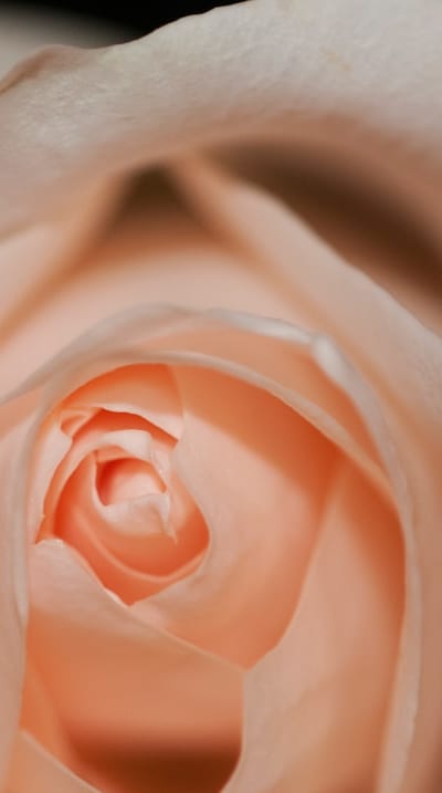 Strategically placed cut flowers create a stunning display.