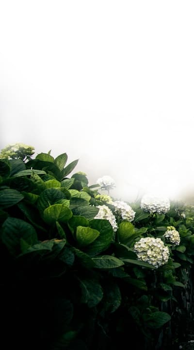 Textures of annual flowers bring visual interest.