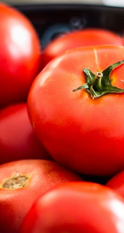 Variety of bean seeds available at garden centers.