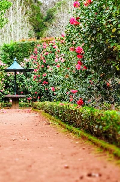 A lively seed exchange event for bean enthusiasts.