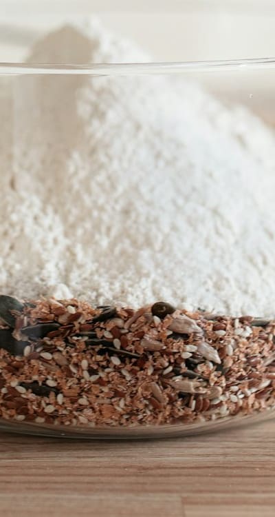 Dicot seeds, high-quality seed sourcing for organic gardeners