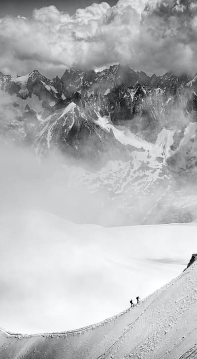 Choosing between indoor and outdoor germination for climbers