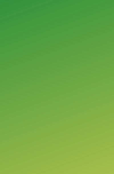 Companion planting with marigolds and nasturtiums for pest control