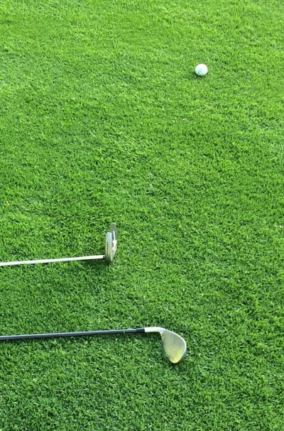 Delayed green bean seed germination can be caused by improper planting depth.