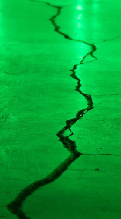 Understanding the process of green bean seed germination.