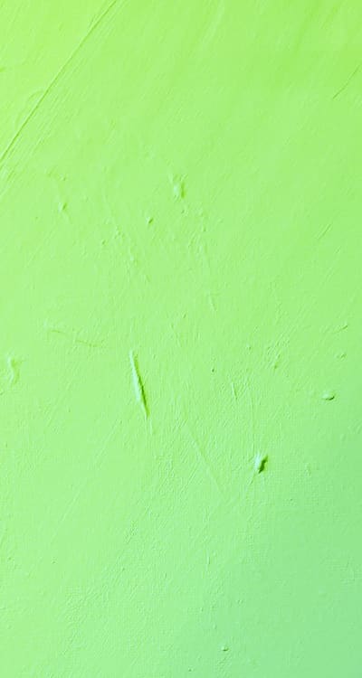 Cost-effective green bean seeds for diverse variety selection.