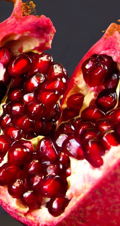 Gymnosperms spreading genetic diversity for ecosystem health.