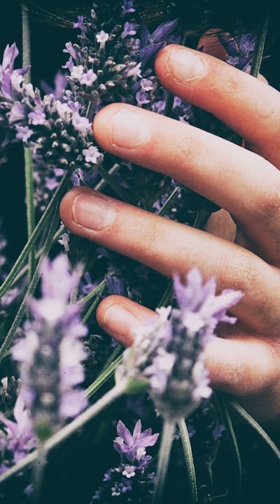 Protect your wildflower seedlings from weeds, pests, and critters.