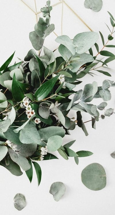 Timing is crucial when transplanting herb seedlings.