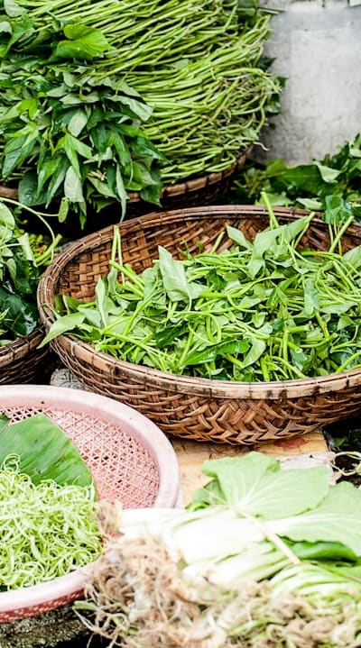 A hand holding a handful of herb seeds.