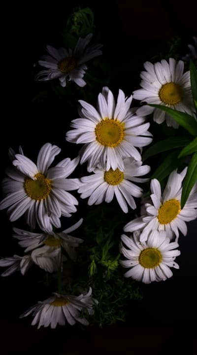 Growing herbs from seed offers endless possibilities.